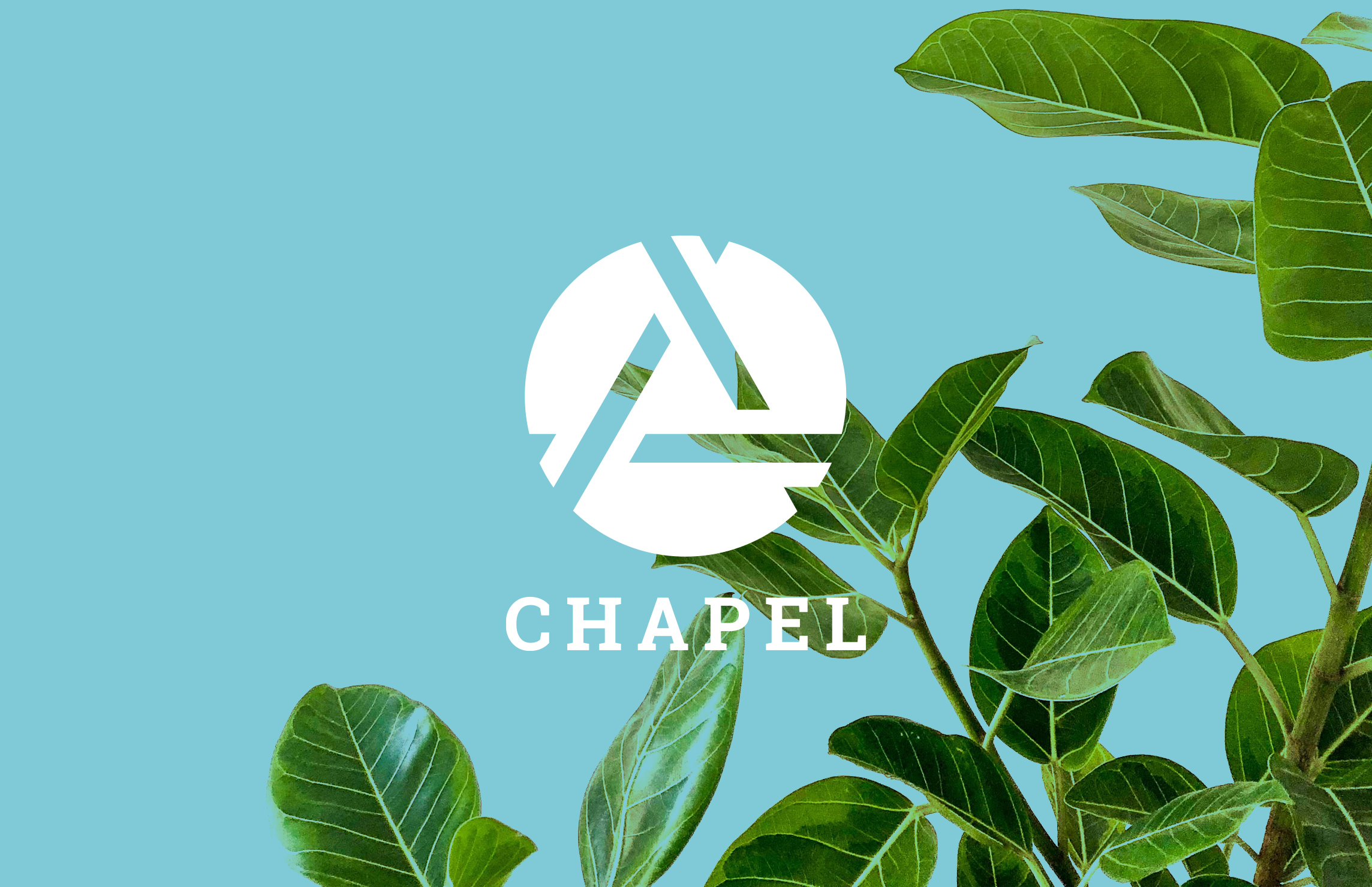 Our vision
